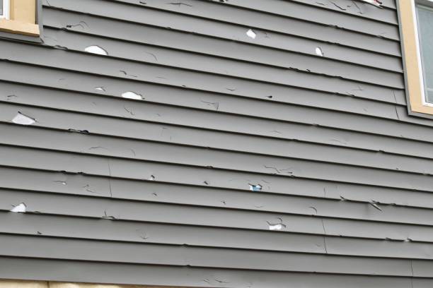 Best Fiber Cement Siding Installation  in Unt Vernon, MO